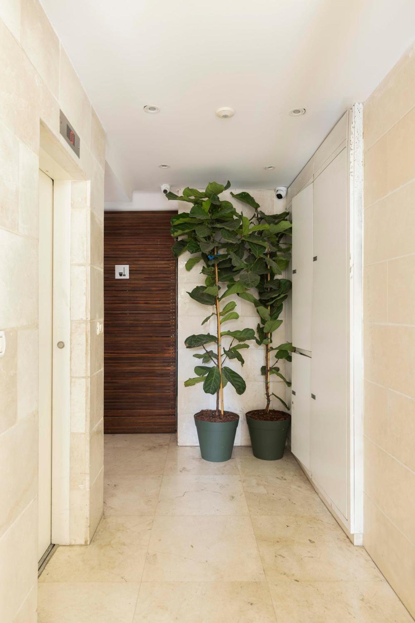The Life Complex - By Localz Group Tel-Aviv
